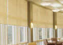 Click to View Lutron Sivoia Shading System